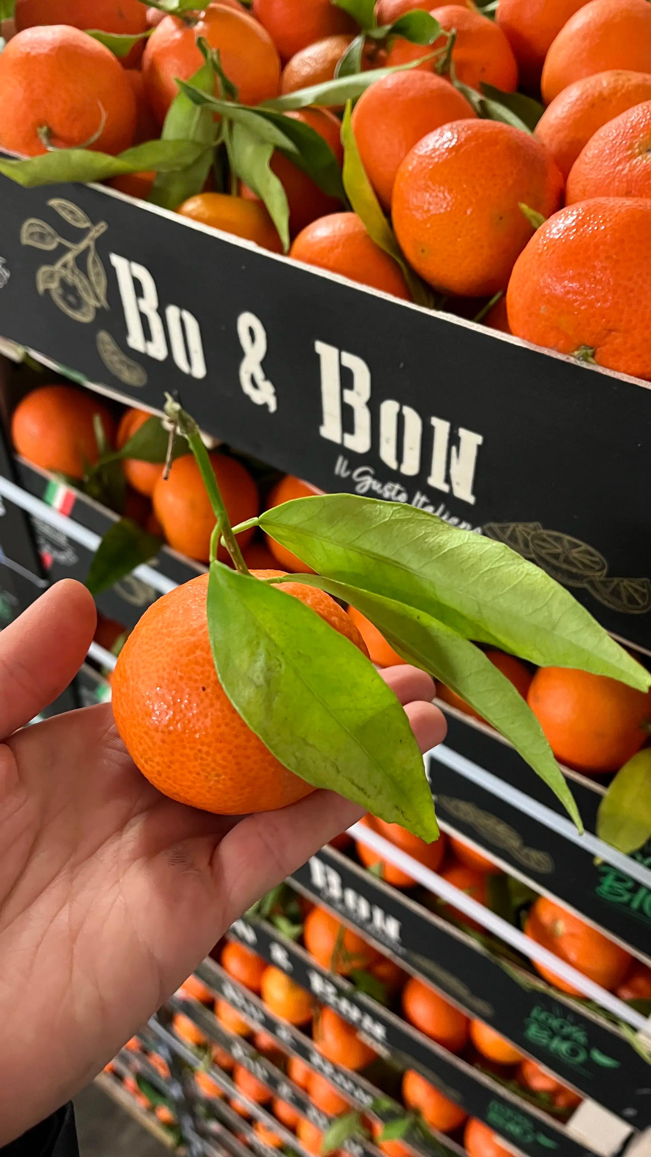 Main tenant une mandarine fraîchement cueillie avec des feuilles, devant un étalage de mandarine Bo&Bon