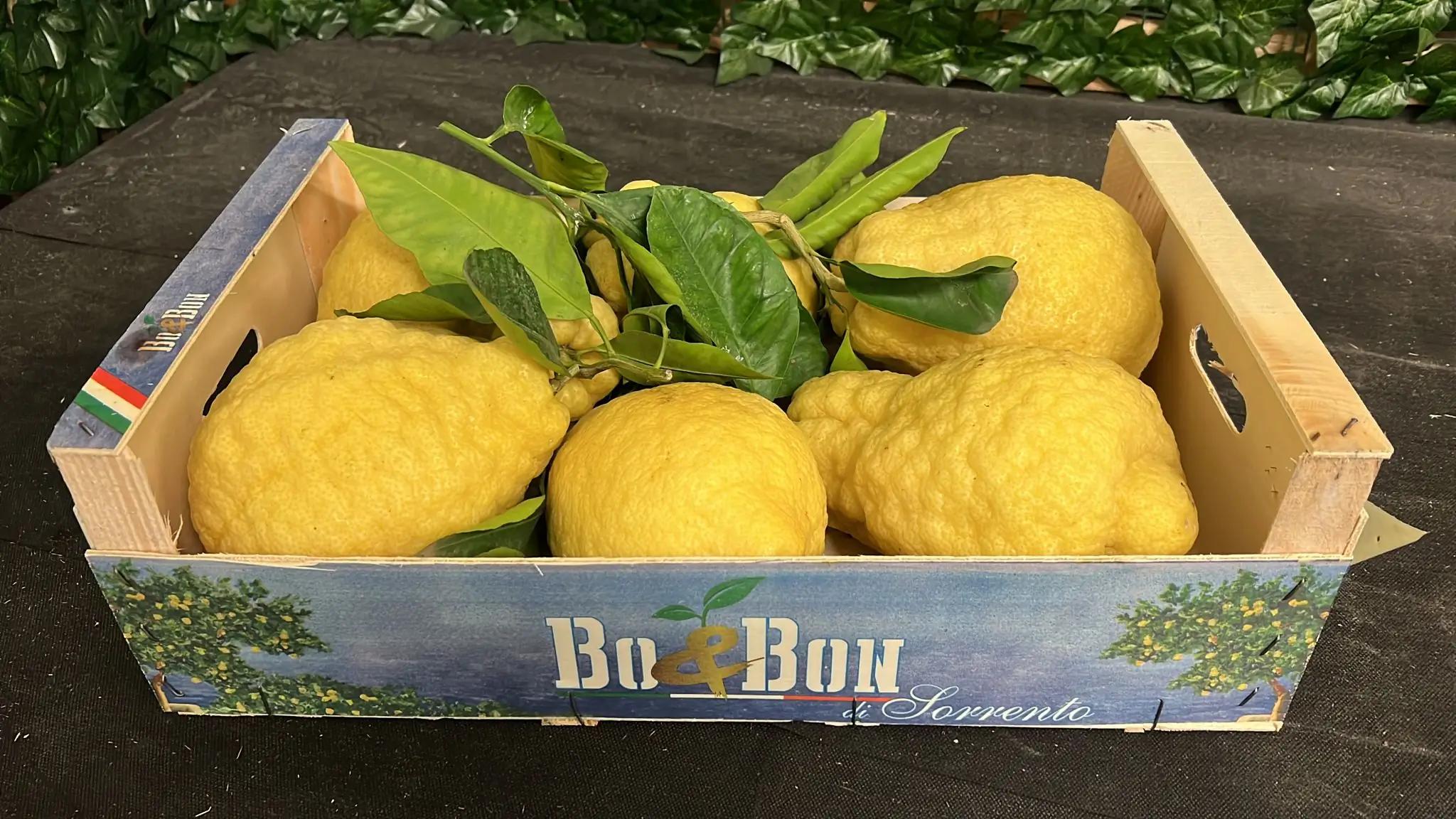 Citron Cédrat Bo & Bon