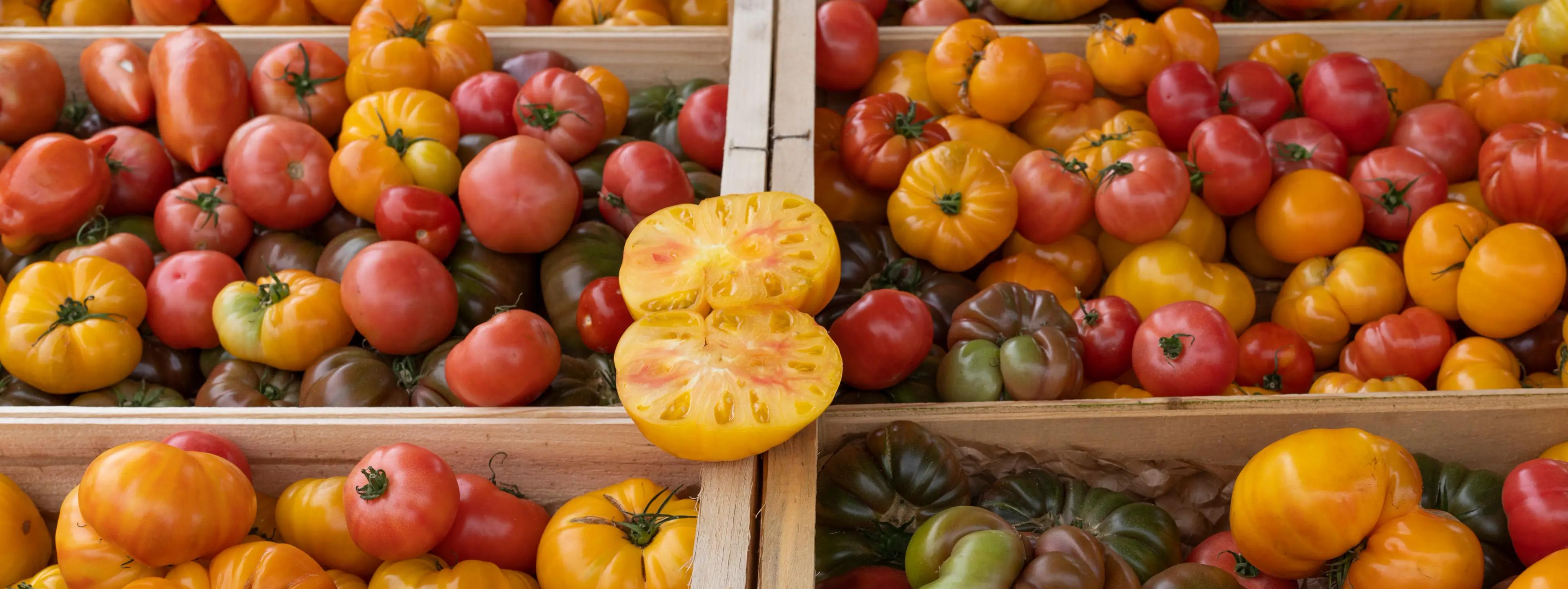 Assortiment de tomates colorées dans des caisses en bois, l'une d'entre elles étant ouverte, laissant apparaître les graines.