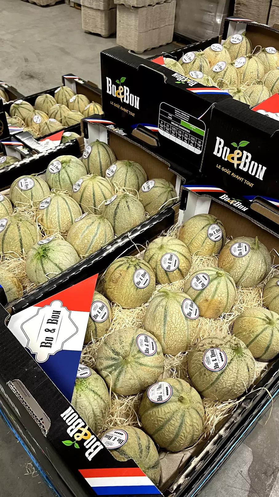 Boîtes de cantaloups avec rembourrage en paille et marquage « Bo&Bon ».