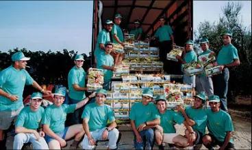 Groupe de travailleurs en chemise turquoise posant avec des caisses de fruits et légumes près d'un camion en plein air.