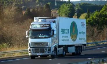 Semi-remorque du groupe Peruzzo roulant sur une autoroute avec de la verdure en arrière-plan.