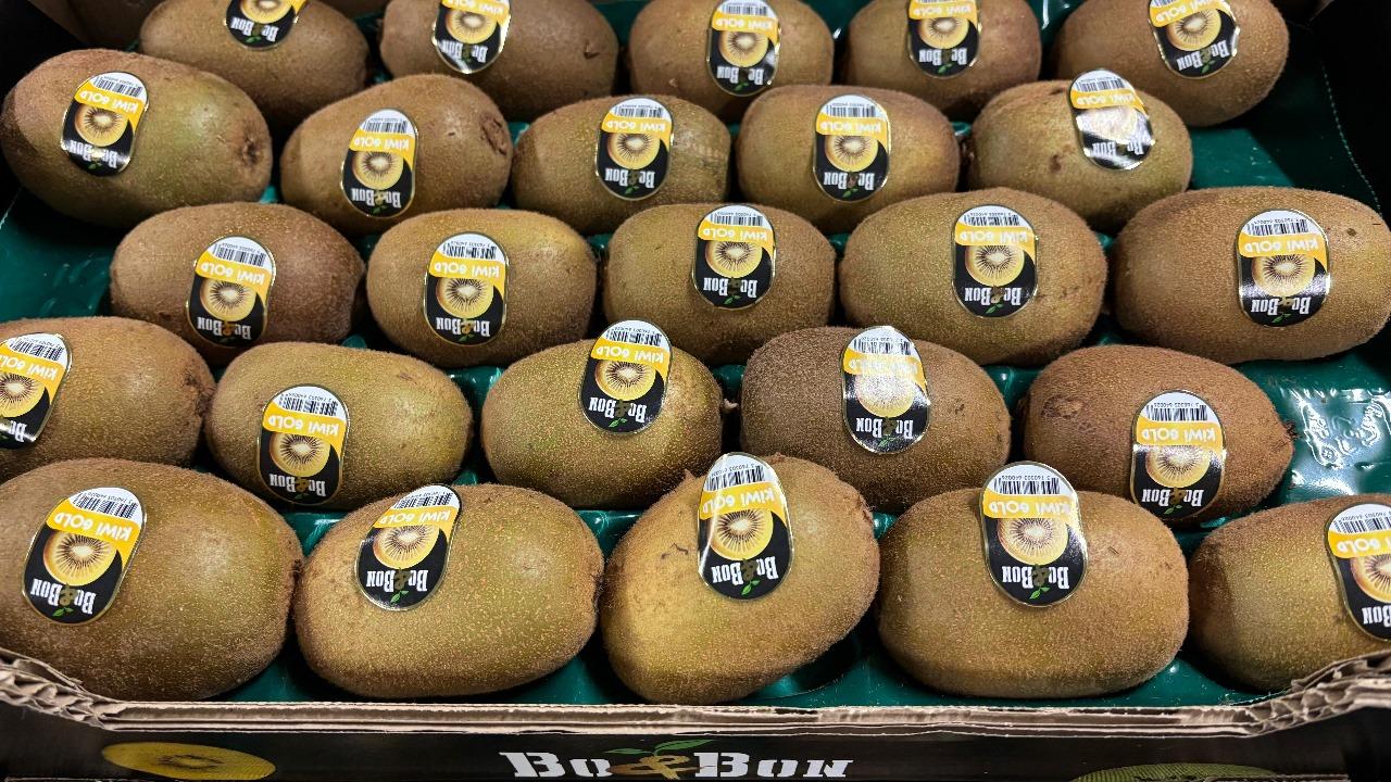 Kiwi jaune AC1536