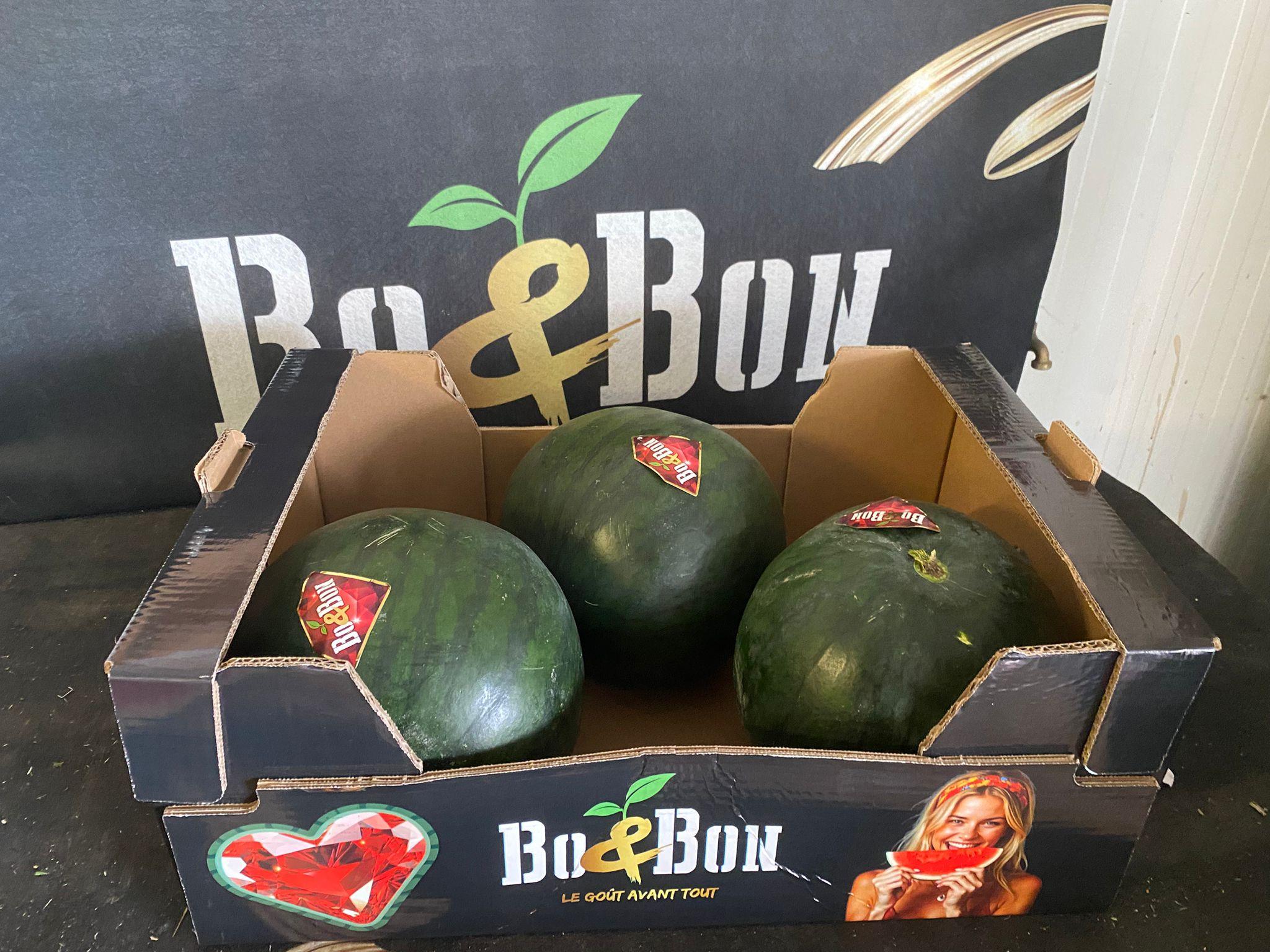 Pastèque noire sans pépins