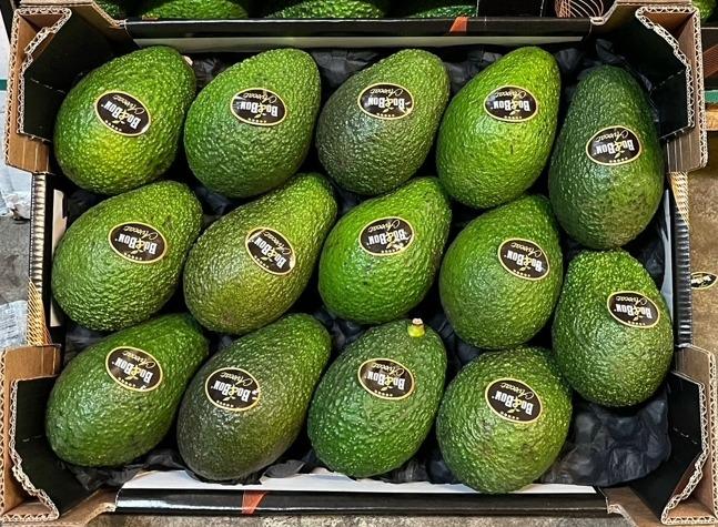 Avocat hass VERT