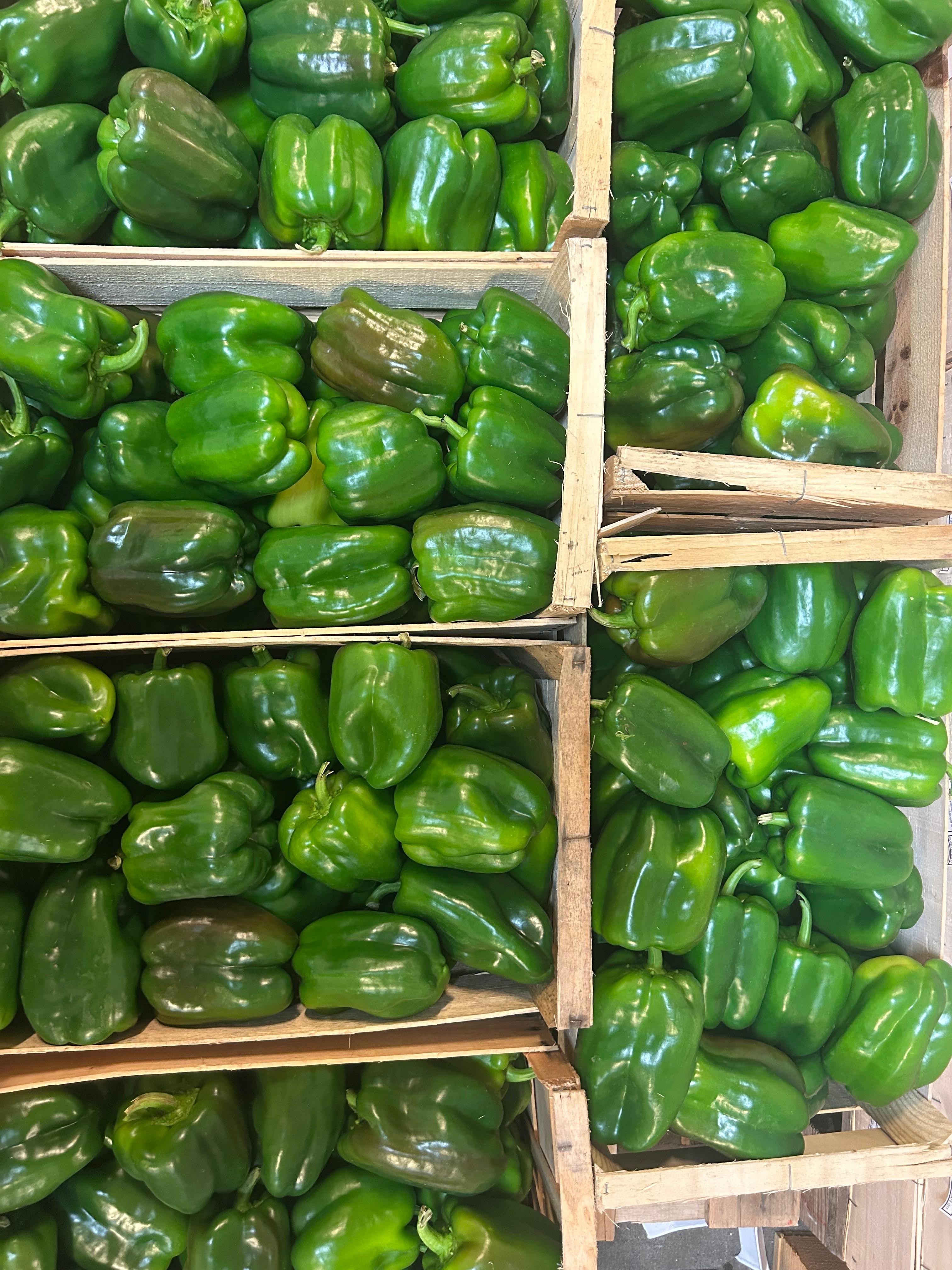 Poivron vert