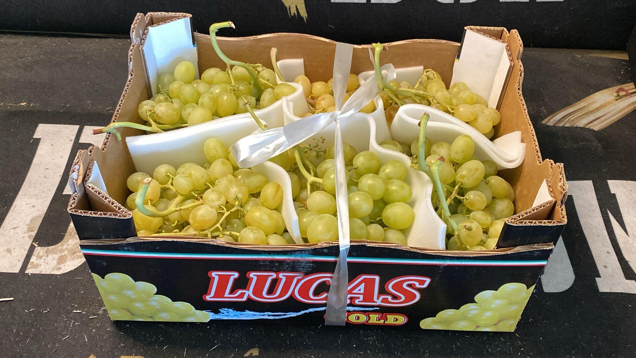Raisin ITALIA EXTRA