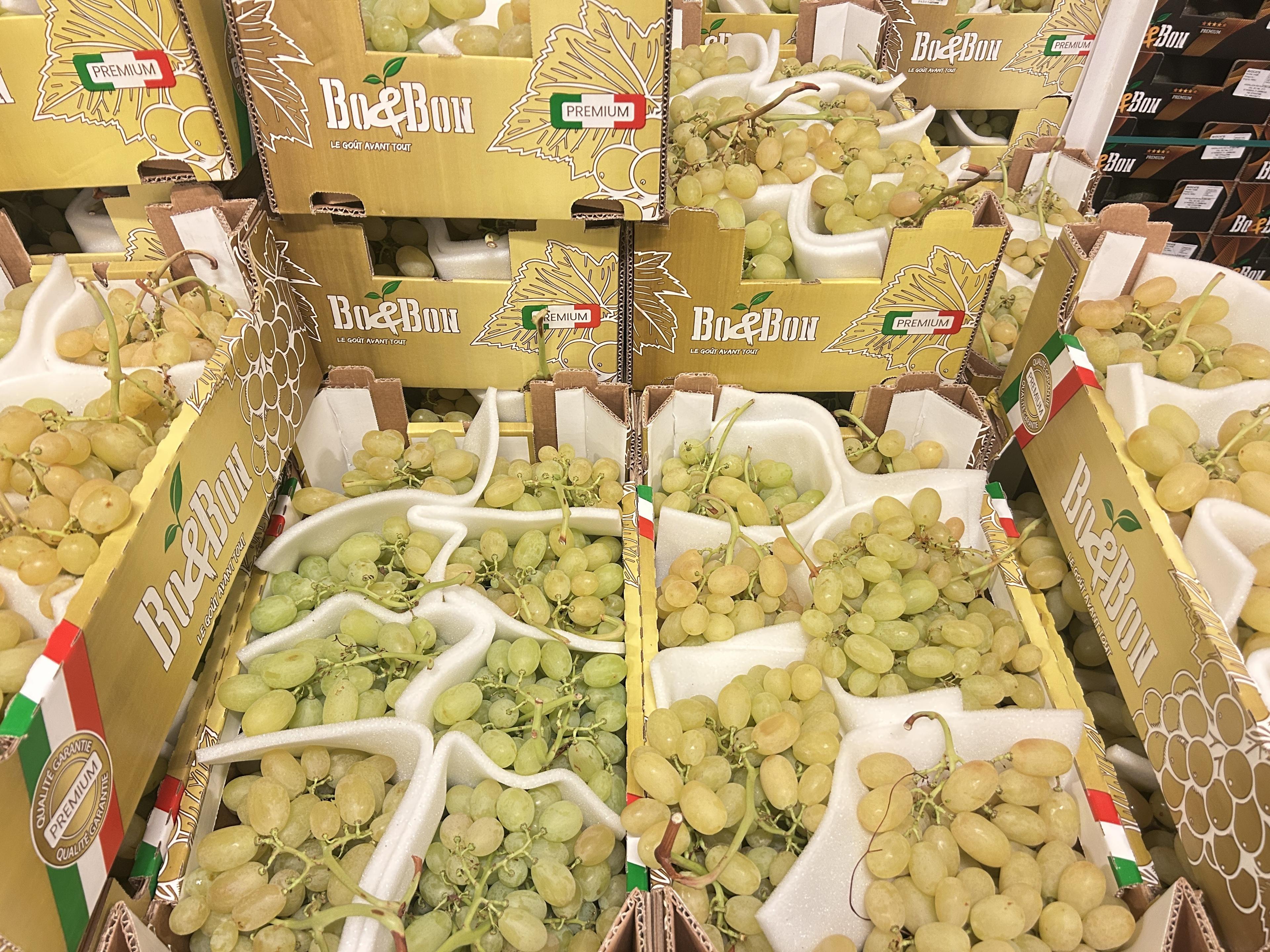 Raisin Italia II