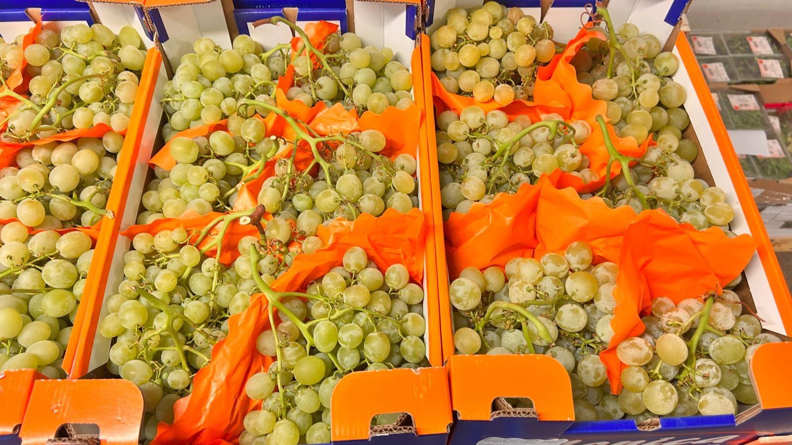 RAISIN ITALIA