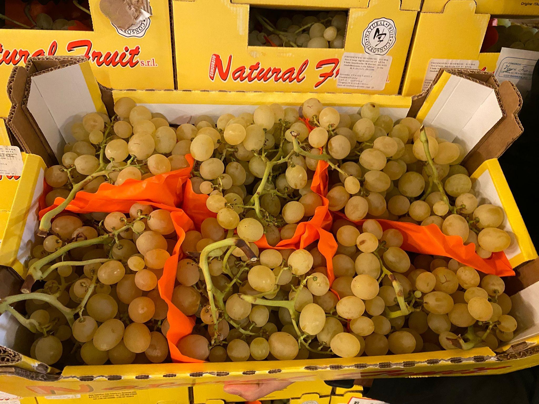 RAISIN ITALIA