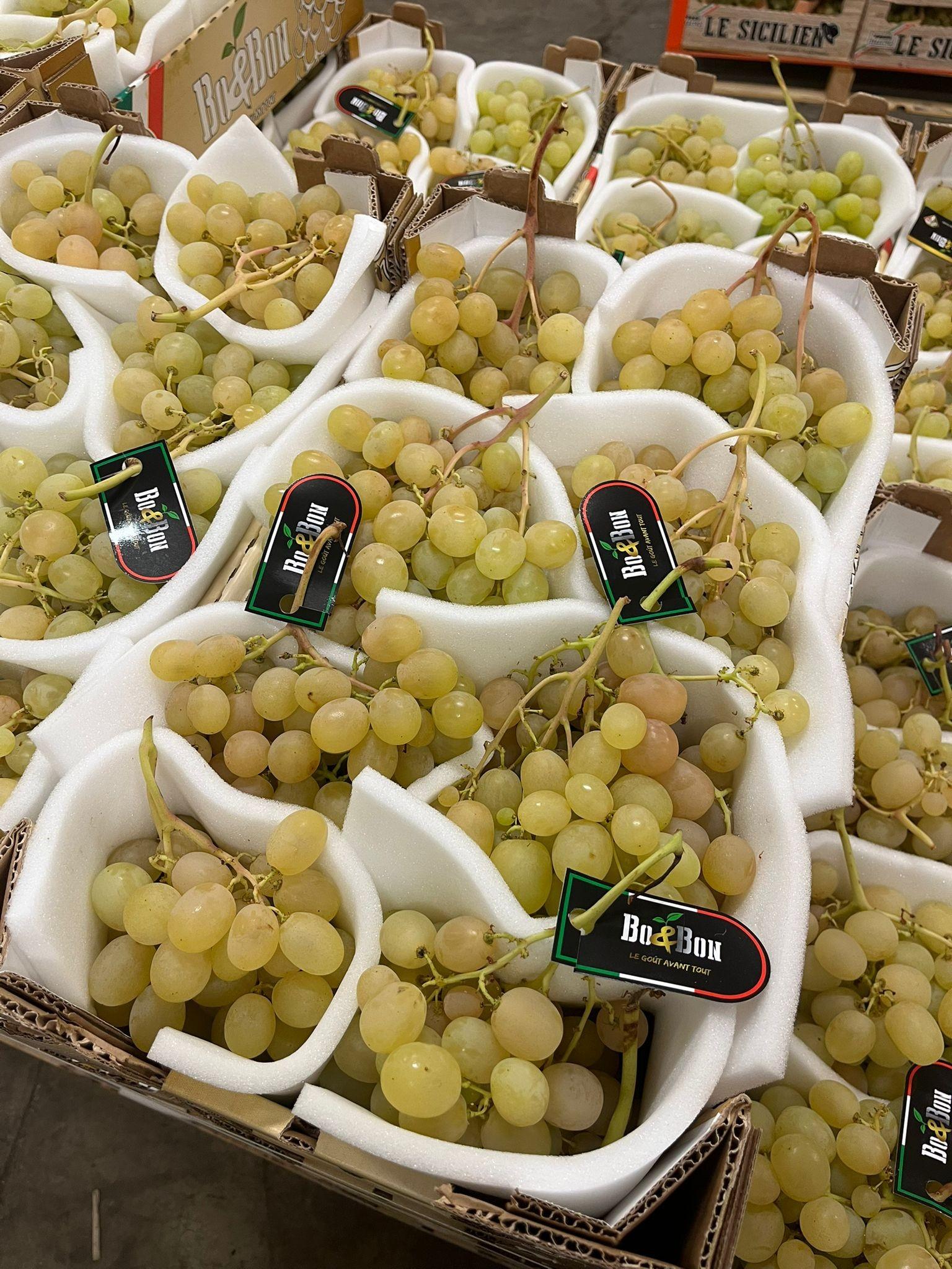 RAISIN ITALIA