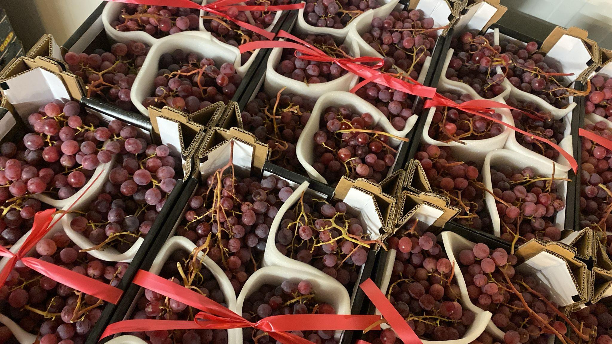 Raisin red globe