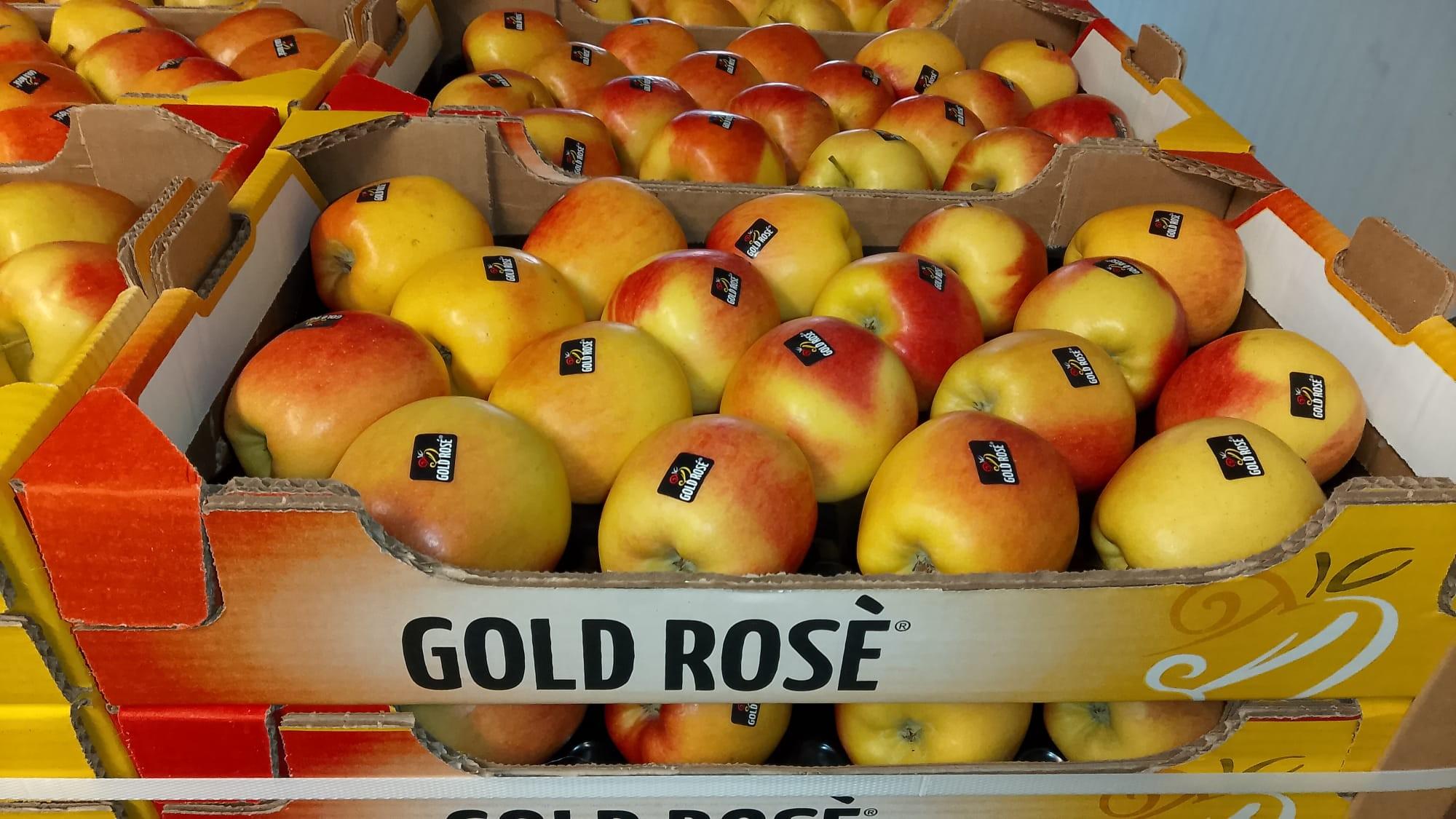 Pomme Ambrosia