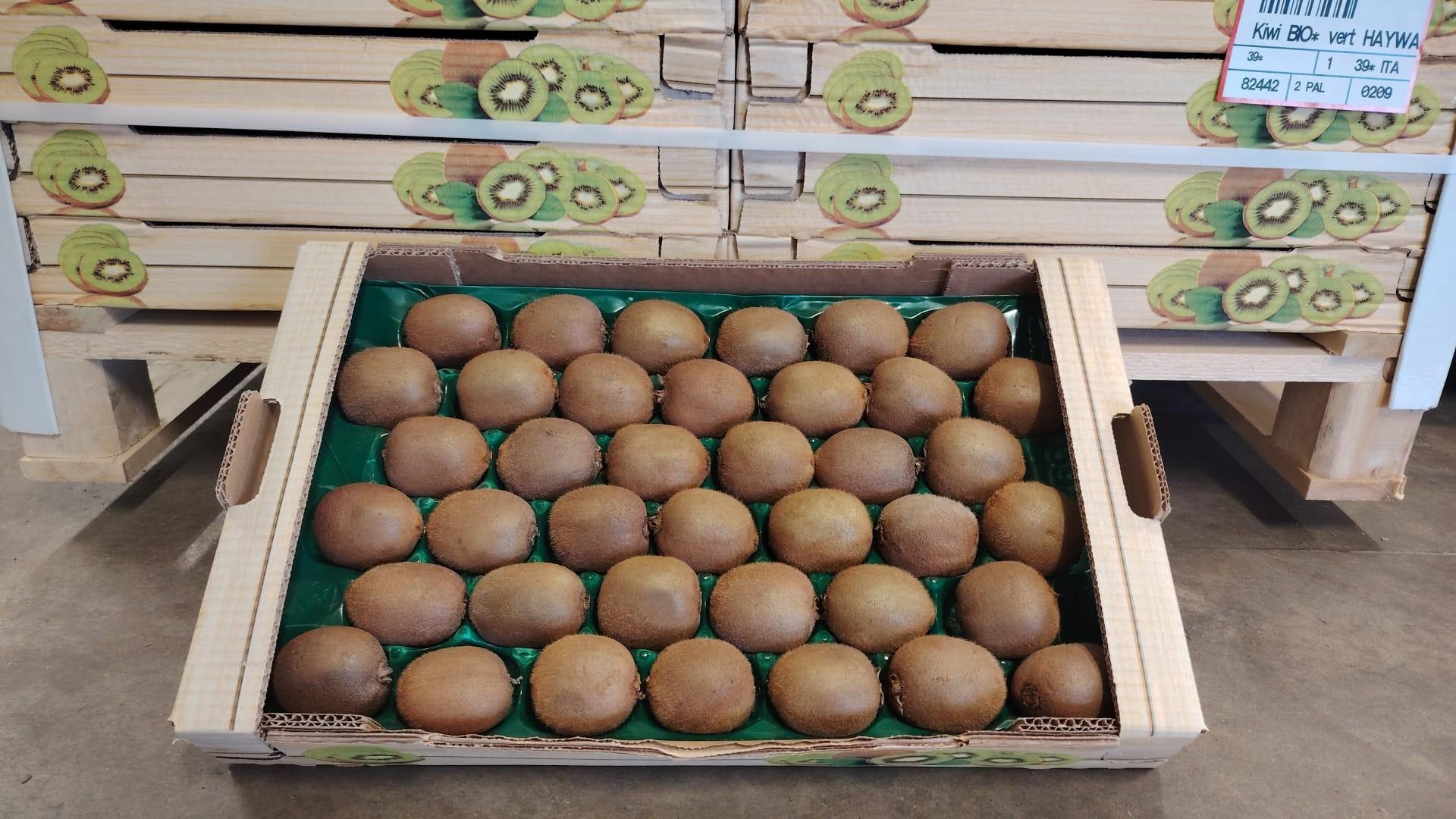 Kiwi vert pltx HAYWARD