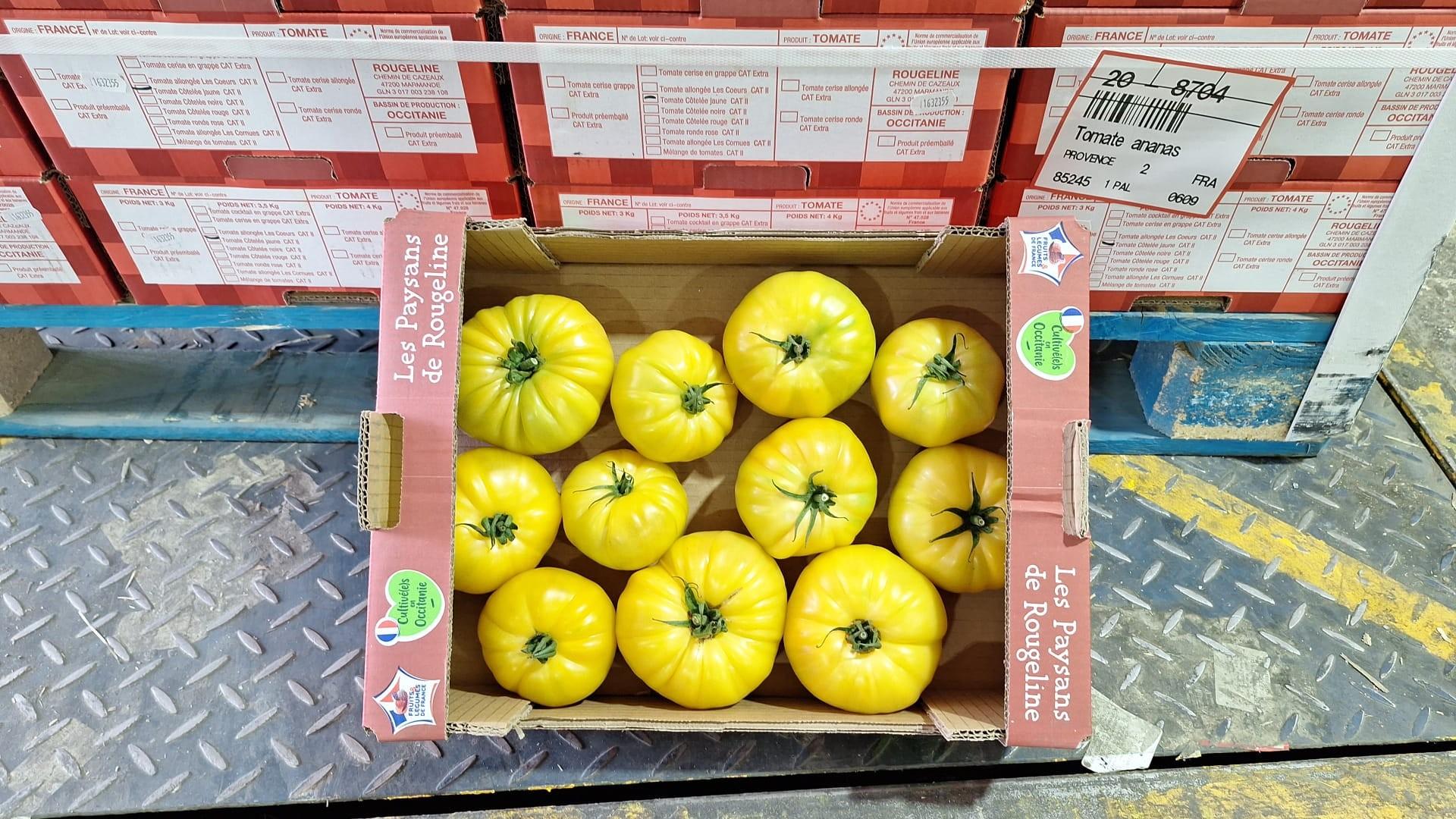 Tomate ananas