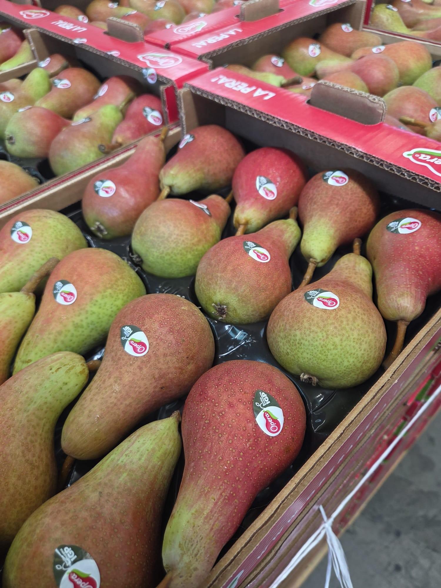 Poire carmen pltx