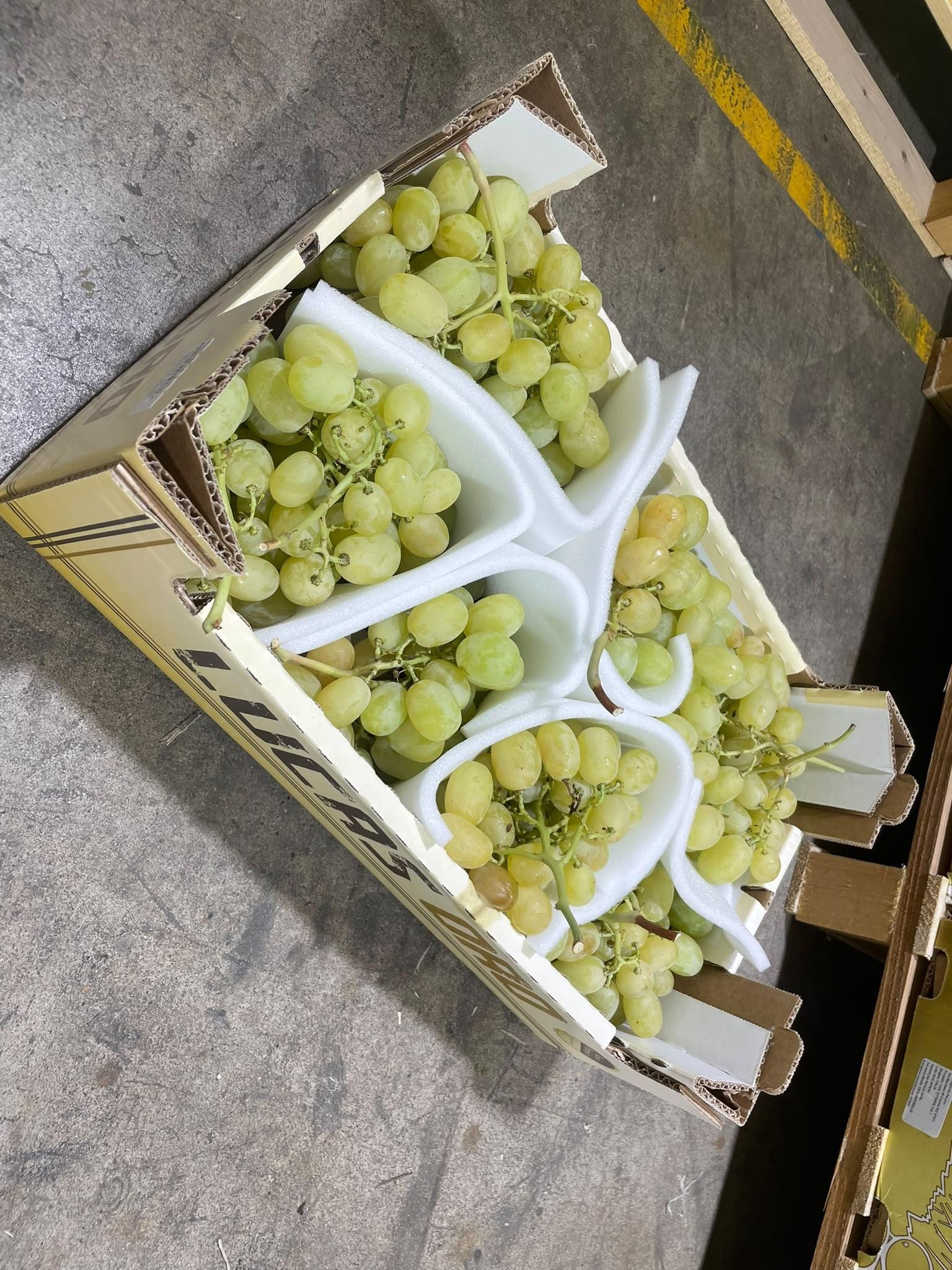 Raisin Italia II