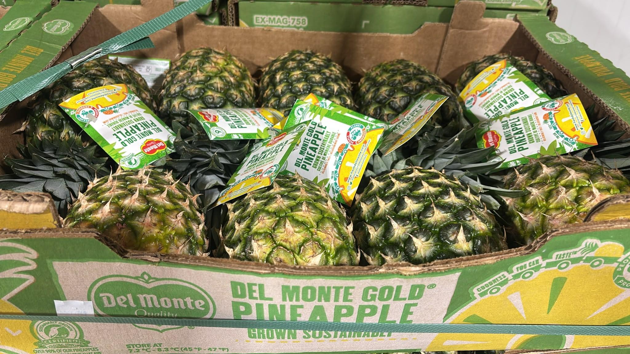 Ananas extra sweet B9