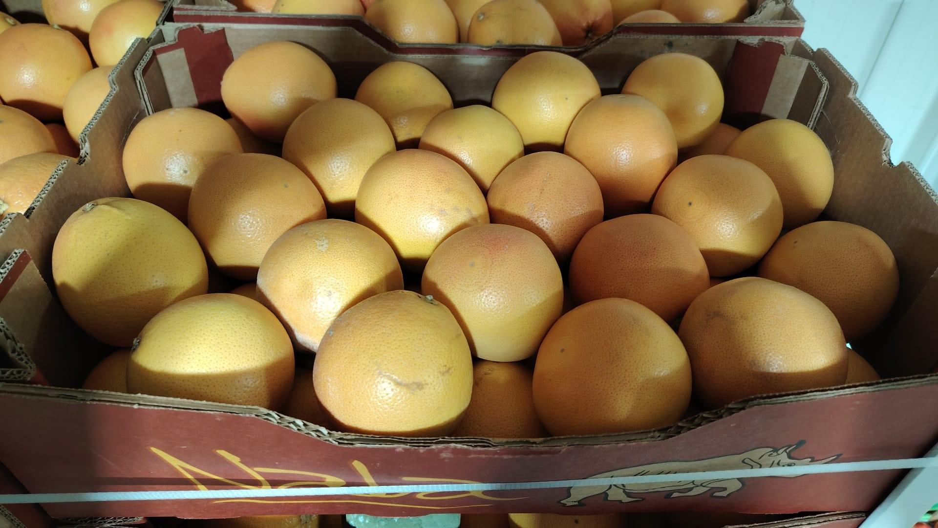 Pomelos STAR RUBY
