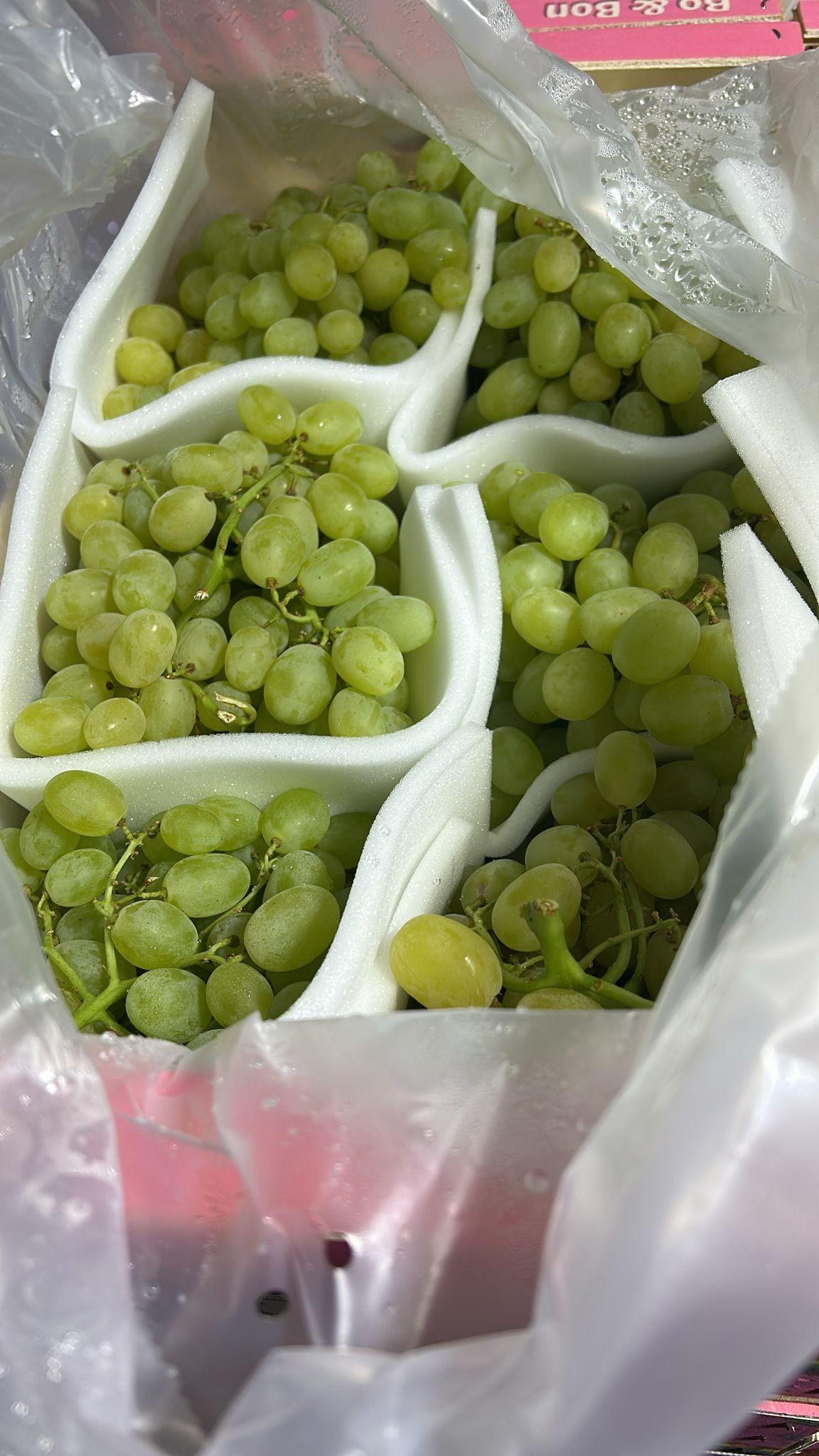 Raisin BLANC SEEDLESS