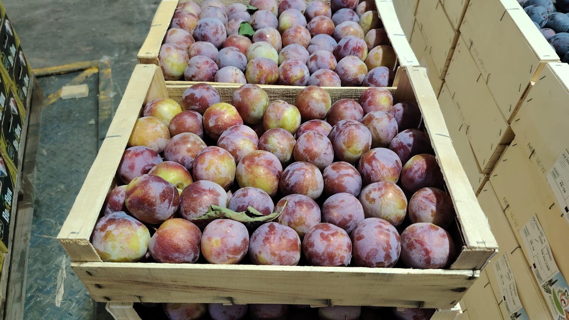 Prune rouge grenadine