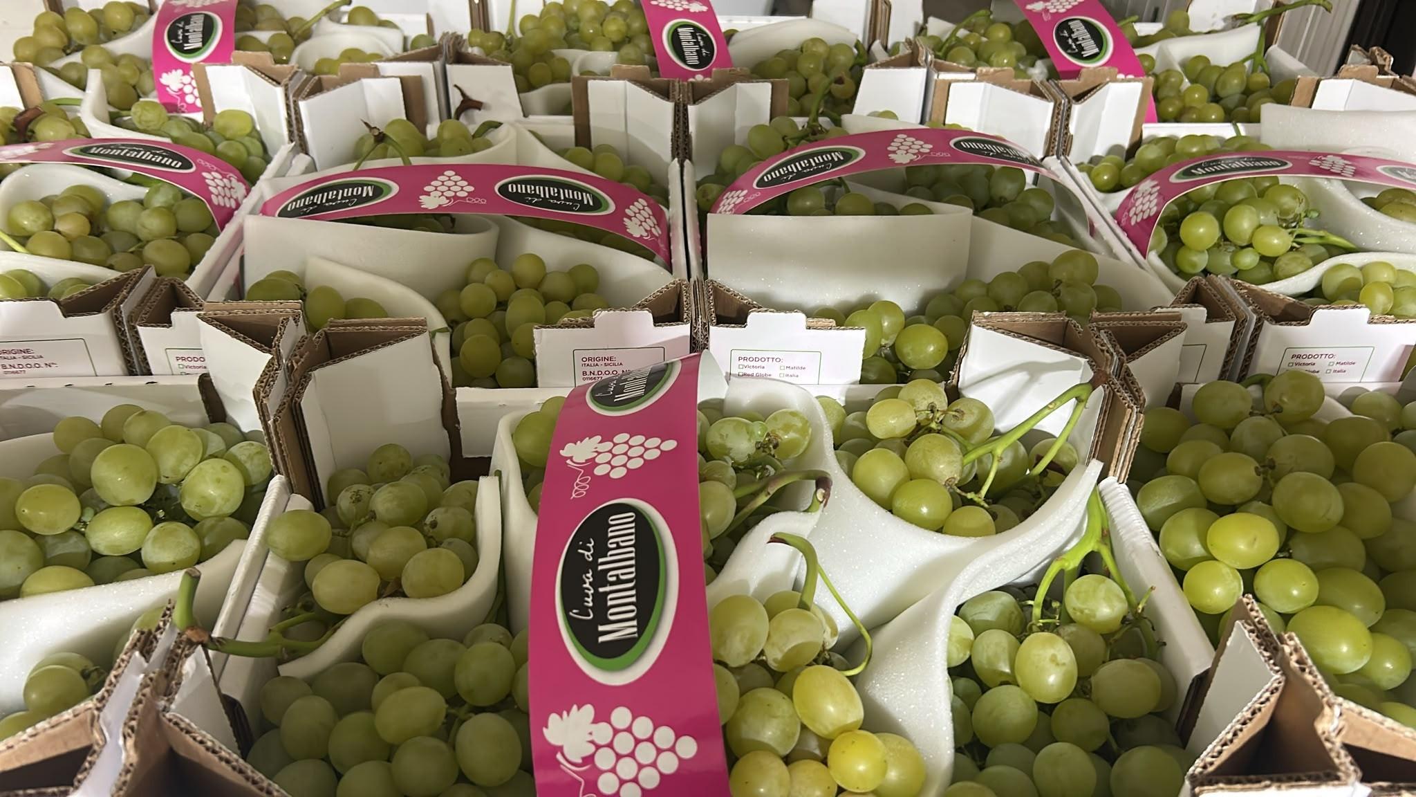 Raisin Italia