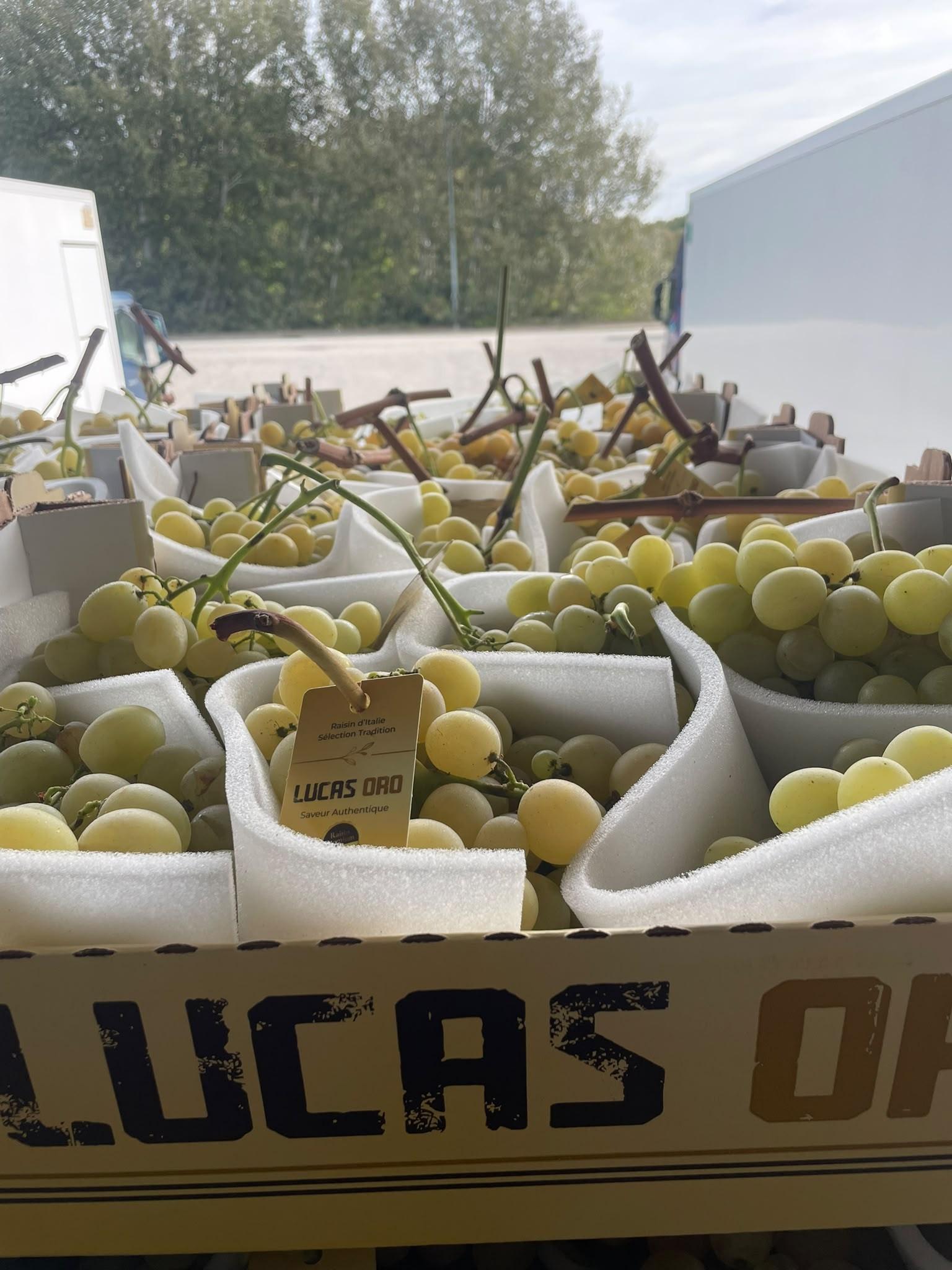 Raisin Italia EXTRA