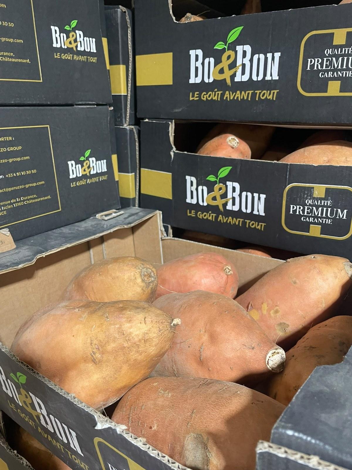 Pomme de terre douce
